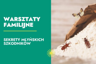 Sekrety młyńskich szkodników – warsztaty familijne (dzieci 8-12 lat)