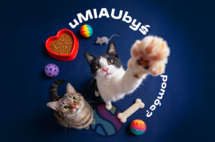 Kiermasz charytatywny "uMIAUbyś pomóc?"