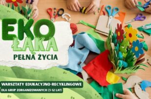 Ekołąka pełna życia – warsztaty edukacyjno-recyklingowe z okazji Światowego Dnia Ochrony Środowiska dla grup zorganizowanych (5–12 lat)
