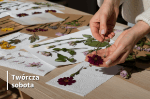 Twórcza sobota: Przygoda z rękodziełem. Decoupage