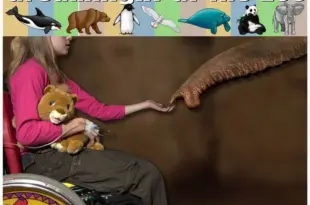 Zaproszenie na Dreamnight at the Zoo…