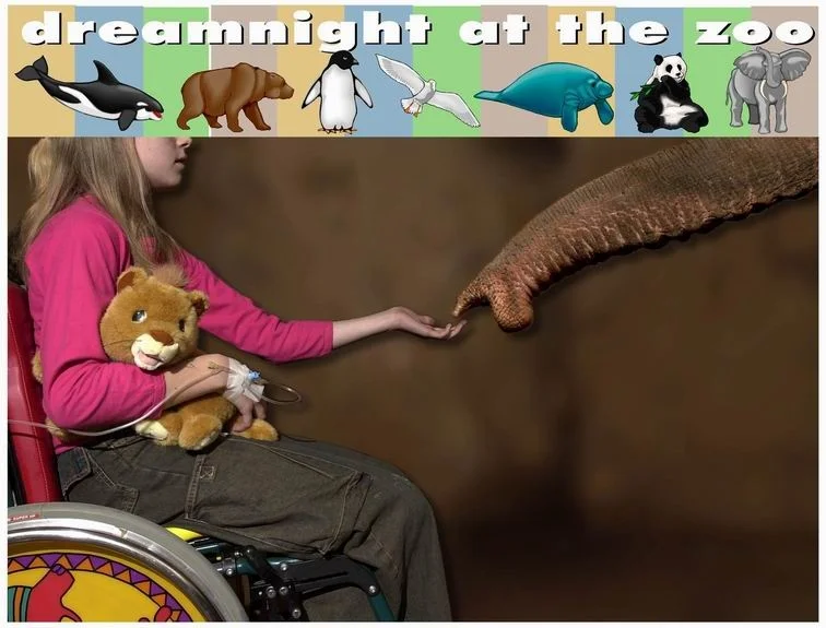 Zaproszenie na Dreamnight at the Zoo…