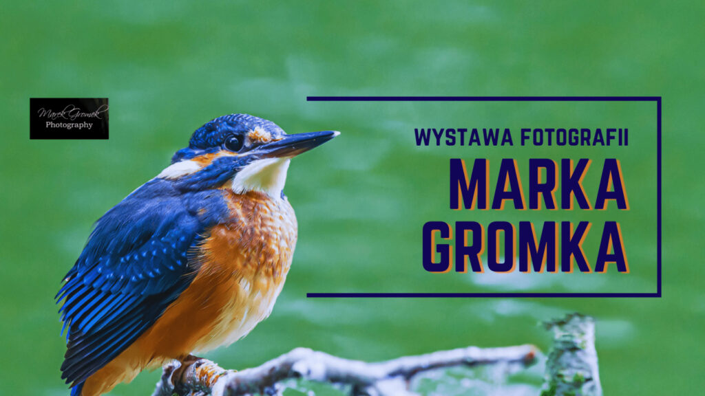 Wystawa fotografii Marka Gromka