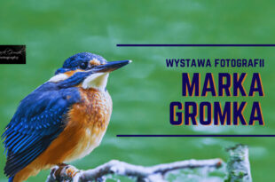 Wystawa fotografii Marka Gromka