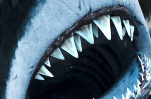 Najlepsze z Najgorszych – Big Shark