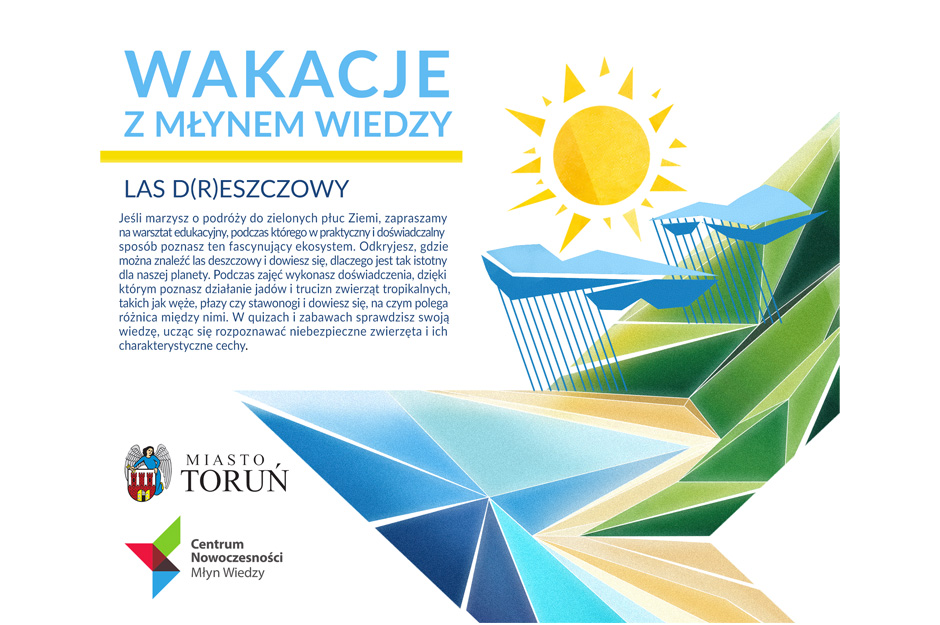 Wakacje w Młynie Wiedzy: Las d(r)eszczowy