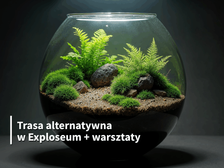 Trasa alternatywna „Las w słoiku”
