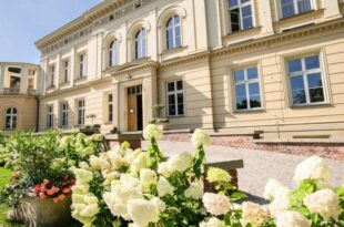Muzyczny koktajl pod chmurką