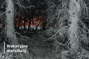„Sztuka z lasów i łąk” – papier czerpany