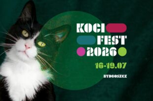 Koci Fest 2026