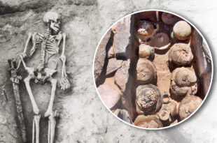 Wystawa „Autostradą do przeszłości. Opowieść o badaniach archeologicznych na Kujawach i ziemi dobrzyńskiej w latach 1957–2024”.