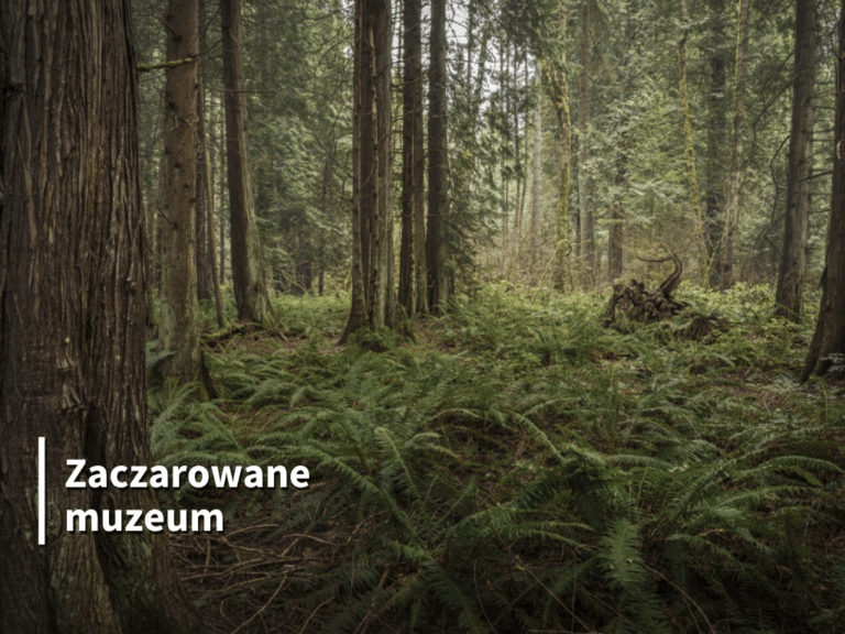 „Bydgoski ogródek” – warsztaty plastyczne