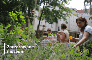 „Zaczarowane muzeum”. „Bydgoski ogródek” – warsztaty plastyczne
