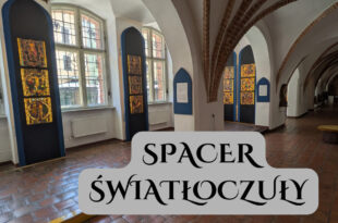 Spacer światłoczuły – oprowadzanie po kolekcji średniowiecznych witraży