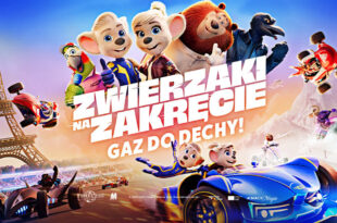 Zwierzaki na zakręcie