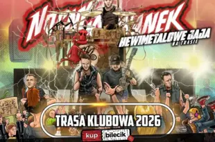 Nocny Kochanek - Hewimetalowe Jaja