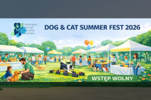 DOG & CAT SUMMER FEST