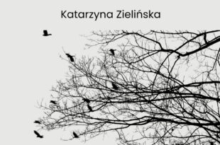 HISTORIE (NIE)OPOWIEDZIANE | Katarzyna Zielińska