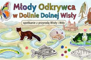 Młody odkrywca w Dolinie Dolnej Wisły. Spotkanie z przyrodą Wisły i Wdy