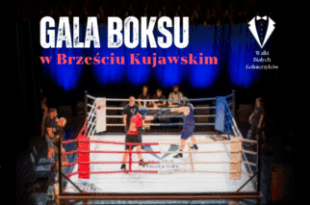 Walki Białych Kołnierzyków