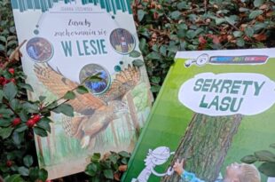 Sekrety lasu | warsztaty wokół książki