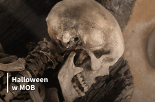 Archeologia z dreszczykiem