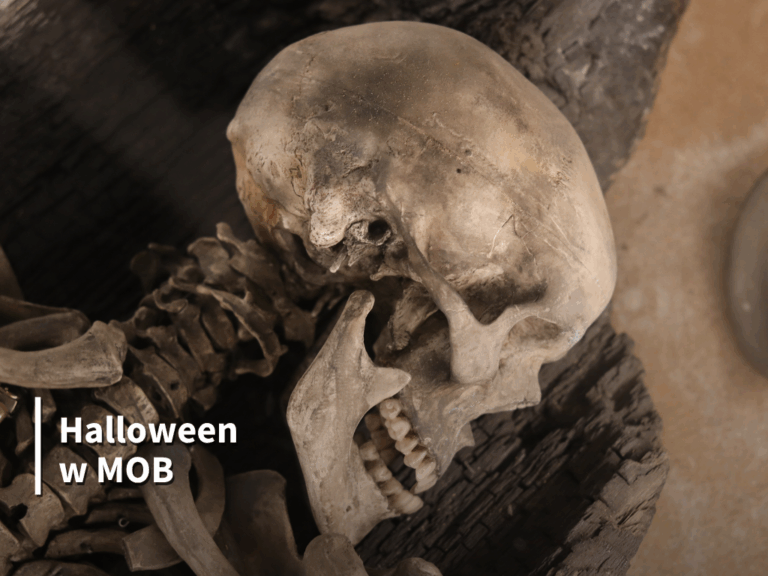 Archeologia z dreszczykiem