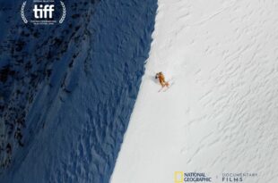 Everest: Druga strona