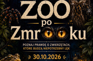 ZOO po ZmrOOku