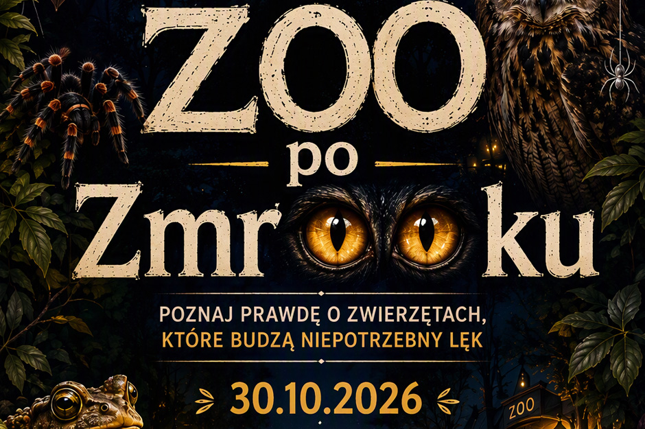 ZOO po ZmrOOku