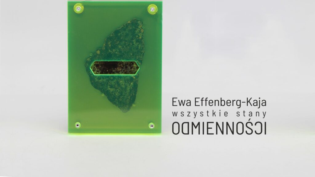 Ewa Effenberg-Kaja „Wszystkie stany odmienności” (wernisaż)