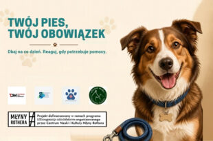 Twój pies, Twój obowiązek